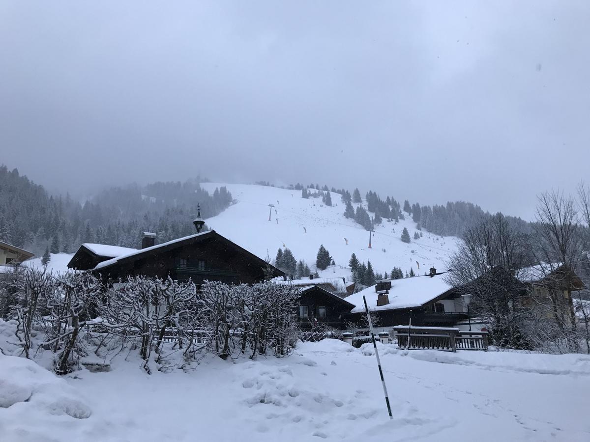 Sonnleiten Apartment Maria Alm am Steinernen Meer Dış mekan fotoğraf